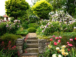Bauerngarten