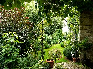 Schwiegermuttergarten