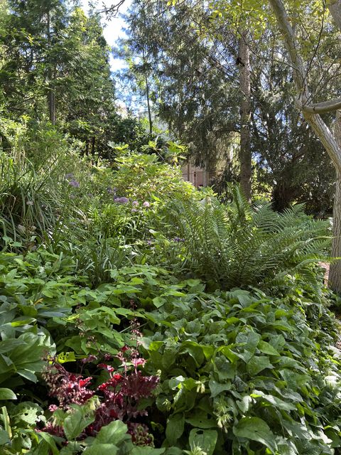 Garten W�st Frickenhausen