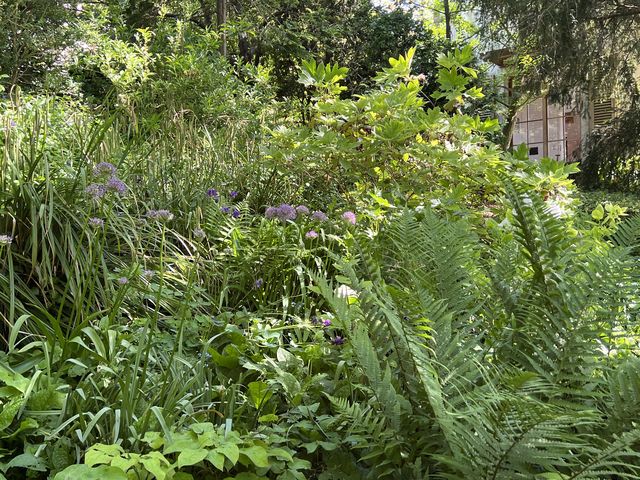 Garten Wst Frickenhausen