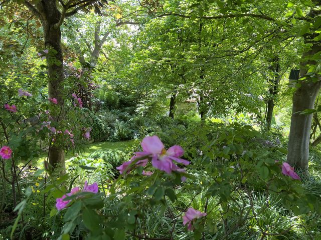 Garten Wst Frickenhausen