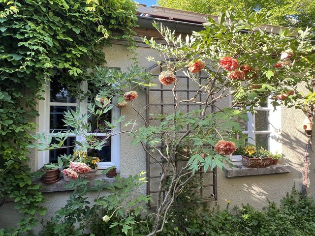 Garten W�st Frickenhausen