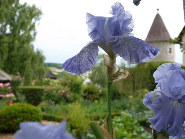 Garten Wst Frickenhausen