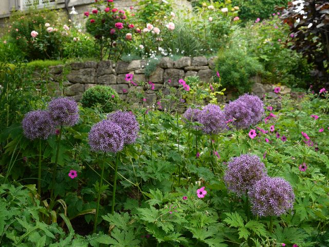 Garten Wst Frickenhausen