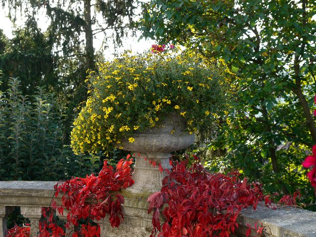 Garten Wst Frickenhausen