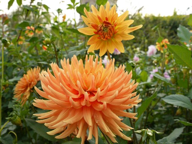 Garten Wst Frickenhausen