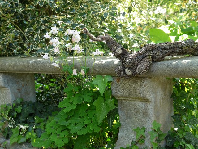 Garten W�st Frickenhausen