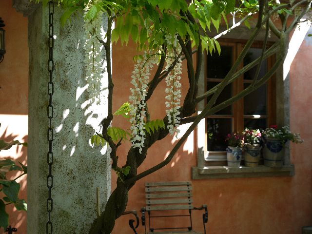 Garten W�st Frickenhausen
