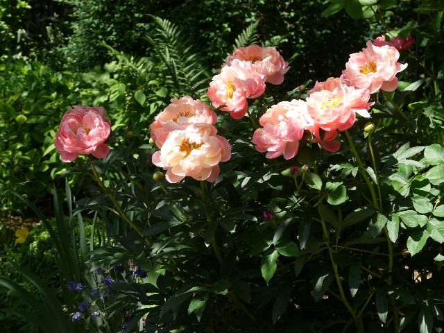 Garten Wst Frickenhausen