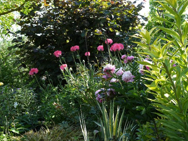 Garten W�st Frickenhausen