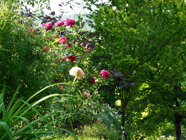 Garten W�st Frickenhausen