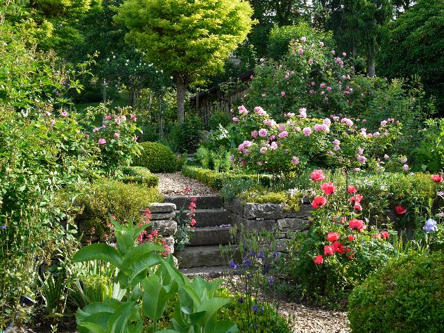 Garten W�st Frickenhausen