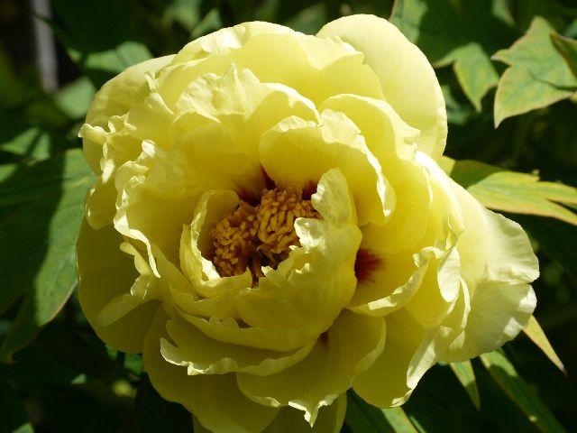 Garten Wst Frickenhausen