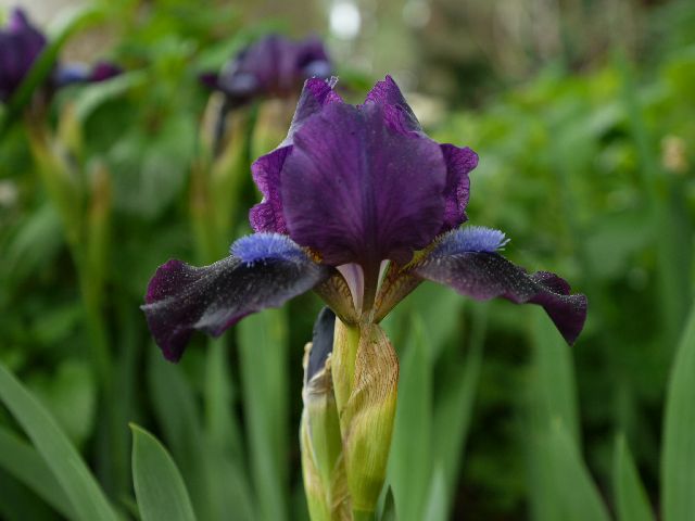Garten Wst Frickenhausen