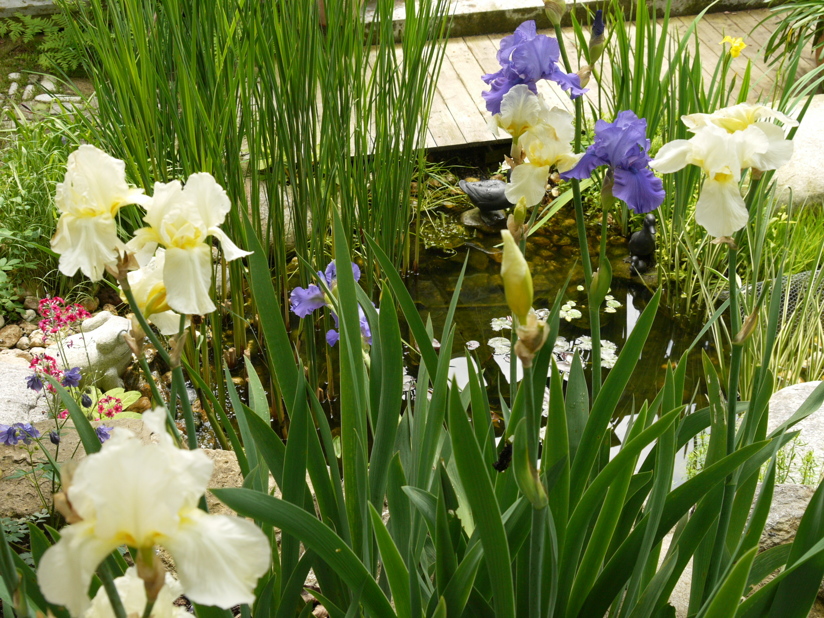 Garten Wst Frickenhausen