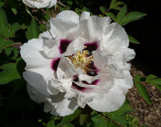 Garten Wst Frickenhausen