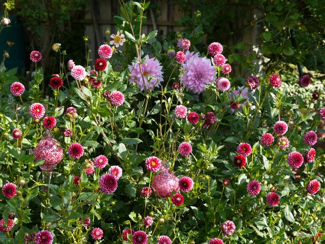 Garten Wst Frickenhausen