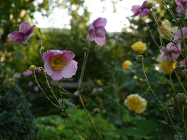 Garten Wst Frickenhausen