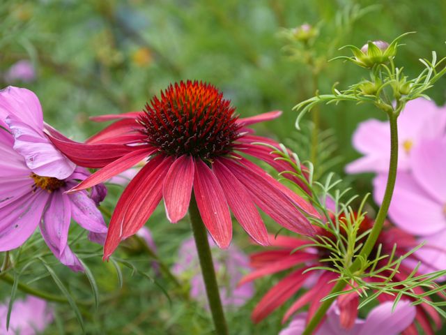 Garten Wst Frickenhausen