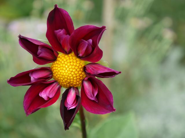 Garten Wst Frickenhausen