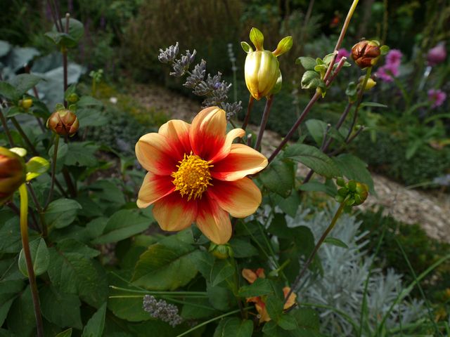 Garten Wst Frickenhausen
