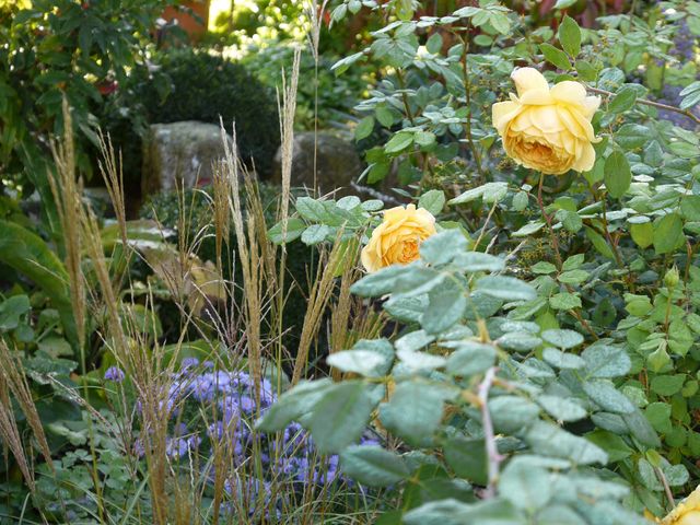 Garten Wst Frickenhausen