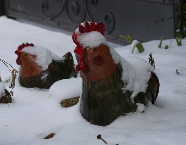 Garten Wst Frickenhausen
