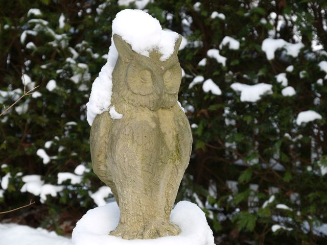 Garten Wst Frickenhausen