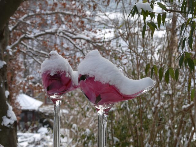 Garten W�st Frickenhausen