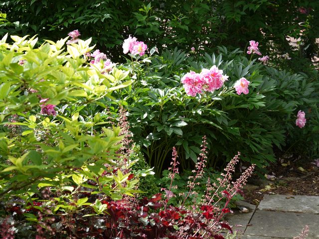 Garten W�st Frickenhausen