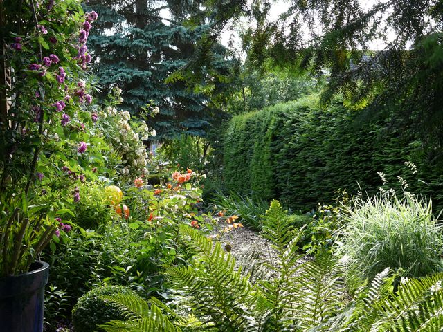 Garten W�st Frickenhausen