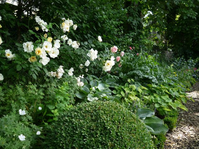 Garten W�st Frickenhausen