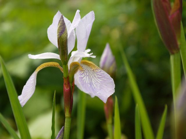 Garten Wst Frickenhausen