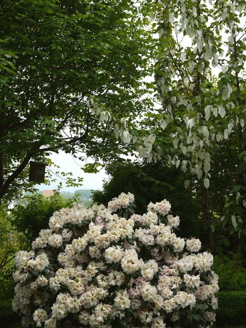 Garten Wst Frickenhausen
