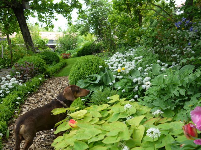 Garten Wst Frickenhausen