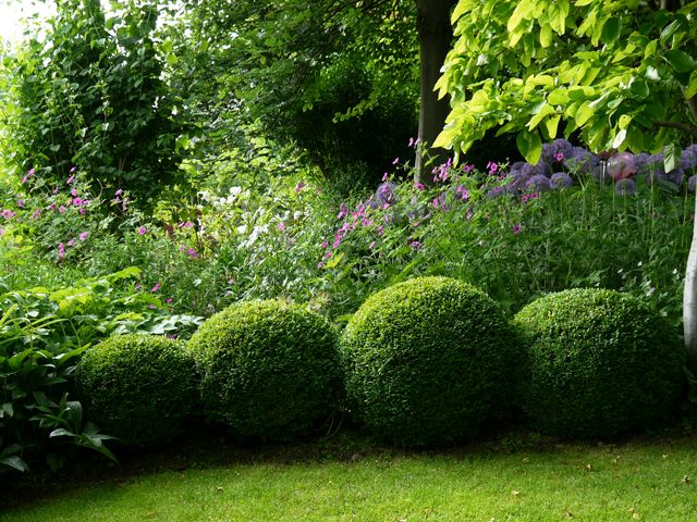 Garten W�st Frickenhausen