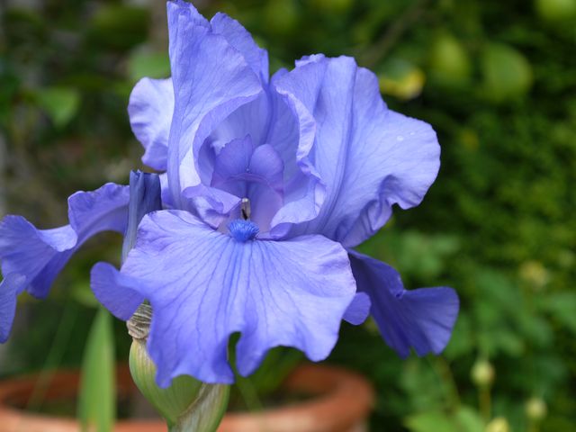 Garten Wst Frickenhausen