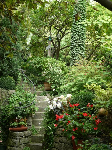 Garten Wst Frickenhausen