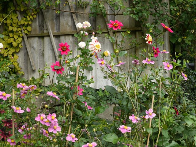 Garten Wst Frickenhausen