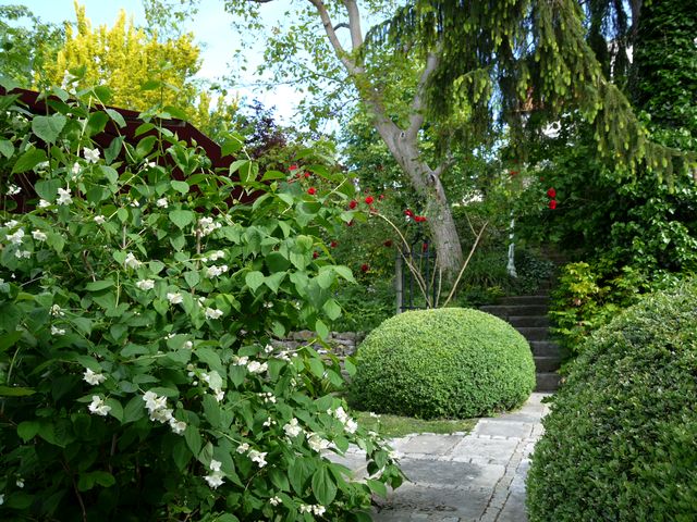 Garten W�st Frickenhausen