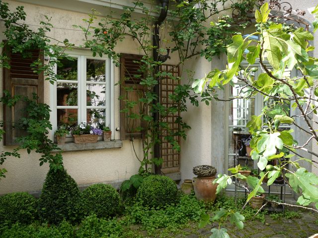 Garten W�st Frickenhausen