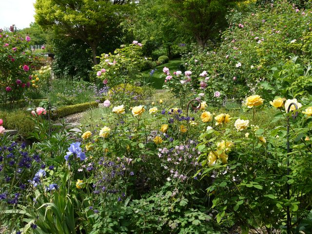 Garten W�st Frickenhausen