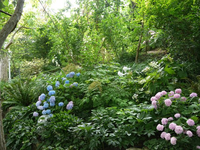 Garten Wst Frickenhausen