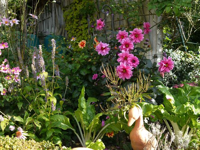 Garten Wst Frickenhausen