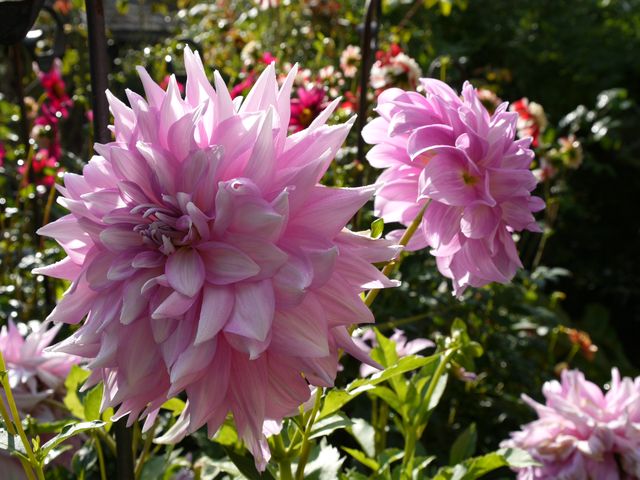 Garten Wst Frickenhausen