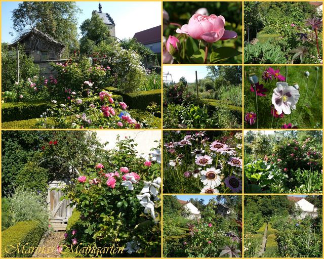 Garten Wst Frickenhausen