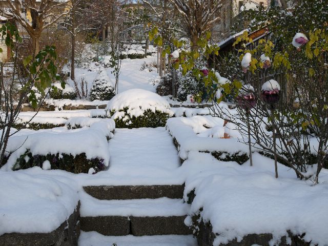 Garten Wst Frickenhausen