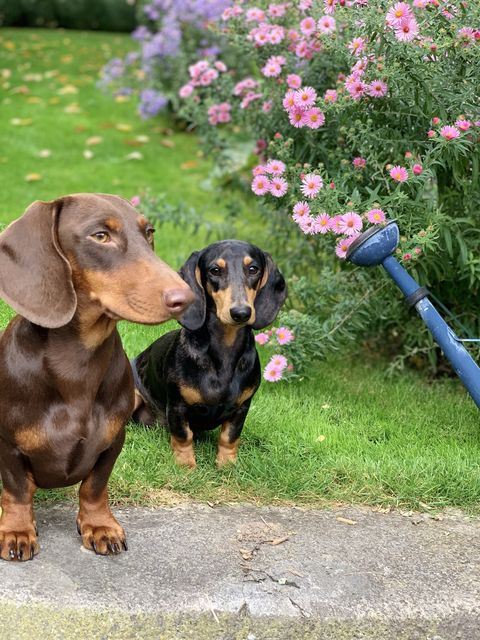 Garten Wst Frickenhausen