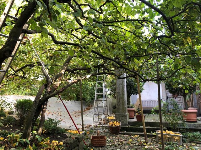 Garten Wst Frickenhausen