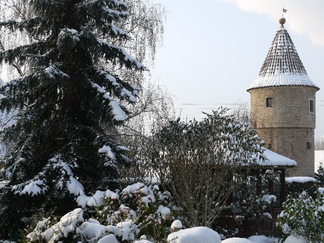 Garten Wst Frickenhausen